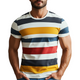 Klassisches, lässiges Herren-T-Shirt aus Baumwolle mit Rundhalsausschnitt und schmaler Passform, kurzärmelig